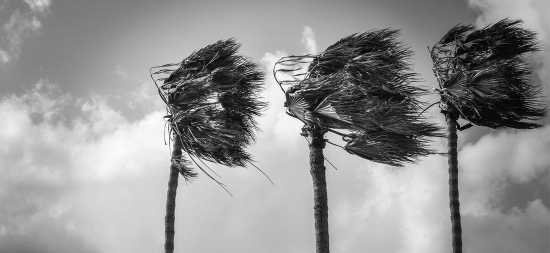 Understanding Antenna Wind Load