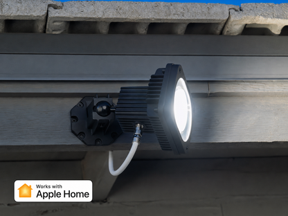 Pro-Floodlight